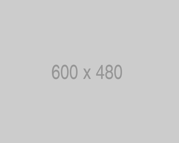 2040